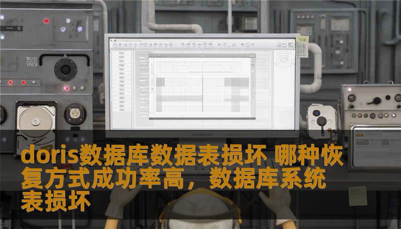 doris数据库数据表损坏 哪种恢复方式成功率高，数据库系统表损坏