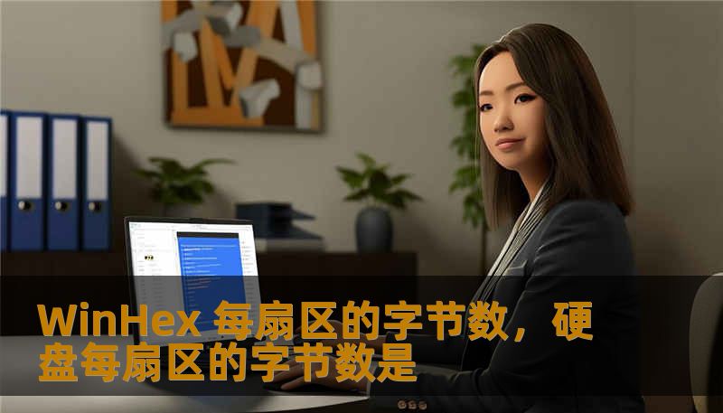 WinHex 每扇区的字节数，硬盘每扇区的字节数是