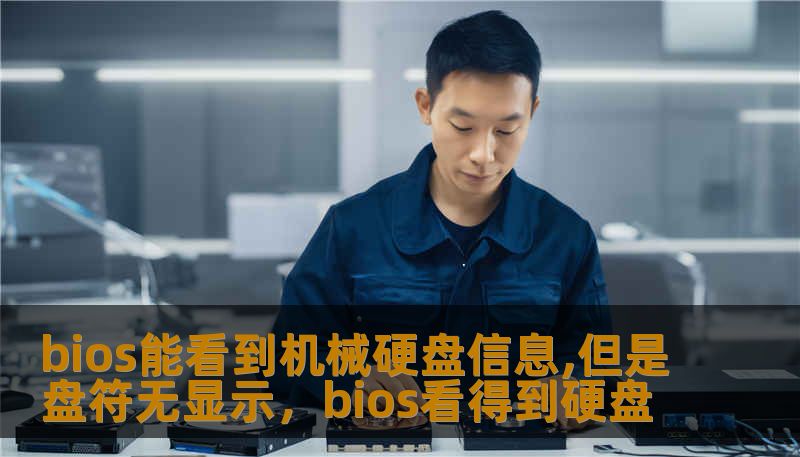 bios能看到机械硬盘信息,但是盘符无显示，bios看得到硬盘