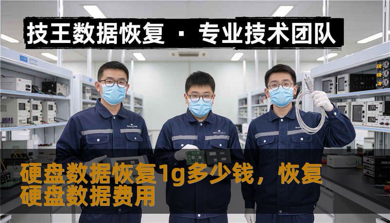 硬盘数据恢复1g多少钱，恢复硬盘数据费用