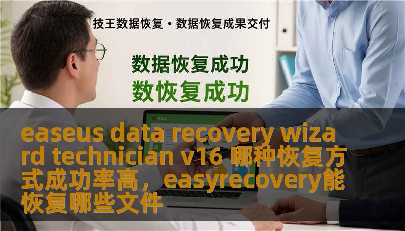 easeus data recovery wizard technician v16 哪种恢复方式成功率高，easyrecovery能恢复哪些文件