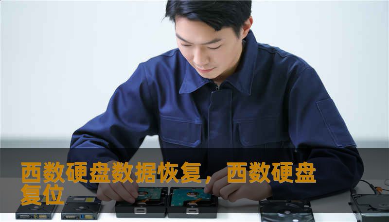 西数硬盘数据恢复，西数硬盘复位