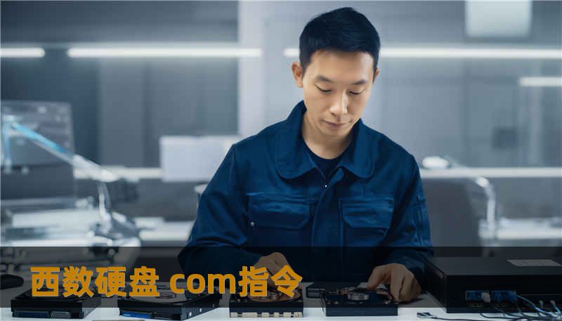 西数硬盘 com指令