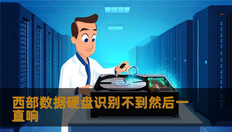 西部数据硬盘识别不到然后一直响