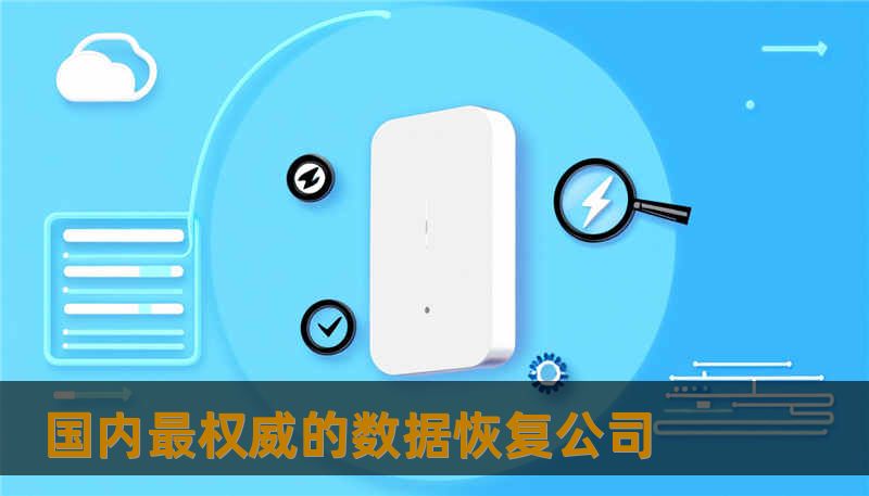 国内最权威的数据恢复公司