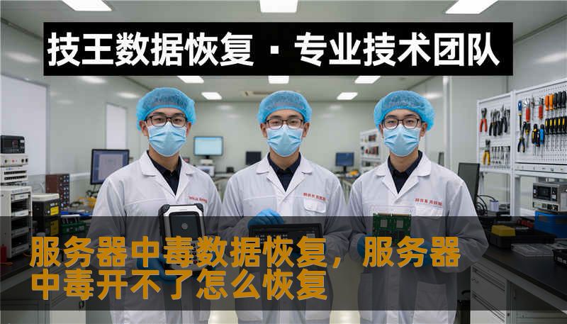 服务器中毒数据恢复，服务器中毒开不了怎么恢复