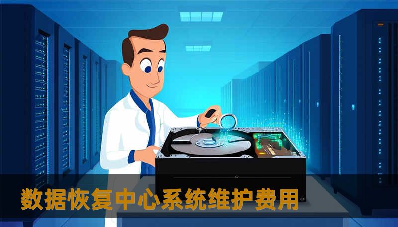 数据恢复中心系统维护费用