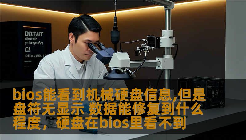 bios能看到机械硬盘信息,但是盘符无显示 数据能修复到什么程度，硬盘在bios里看不到