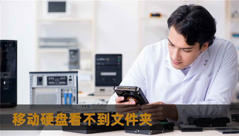 移动硬盘看不到文件夹