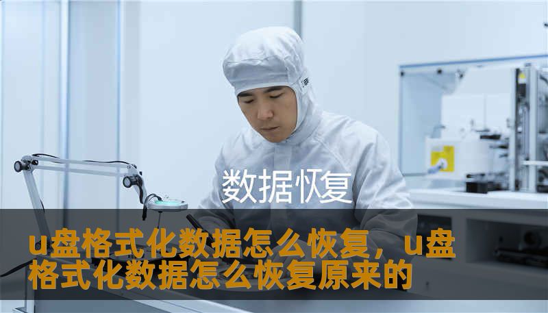 u盘格式化数据怎么恢复，u盘格式化数据怎么恢复原来的