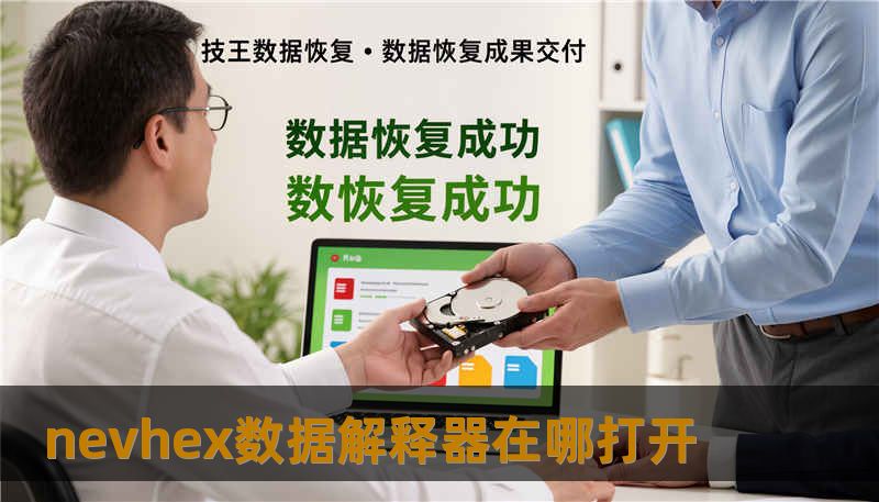 nevhex数据解释器在哪打开