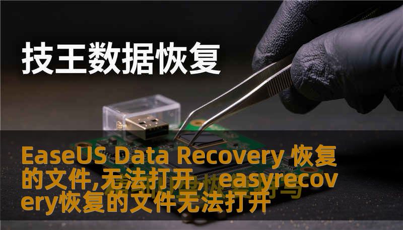 EaseUS Data Recovery 恢复的文件,无法打开，easyrecovery恢复的文件无法打开