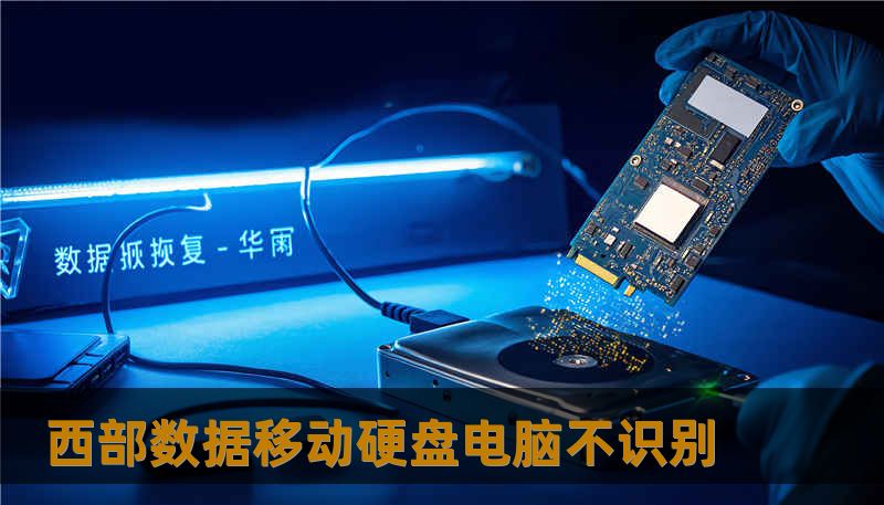西部数据移动硬盘电脑不识别