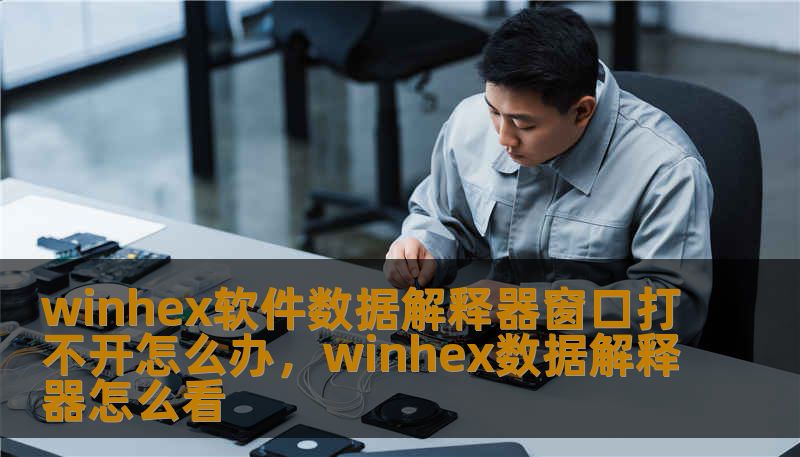 winhex软件数据解释器窗口打不开怎么办，winhex数据解释器怎么看