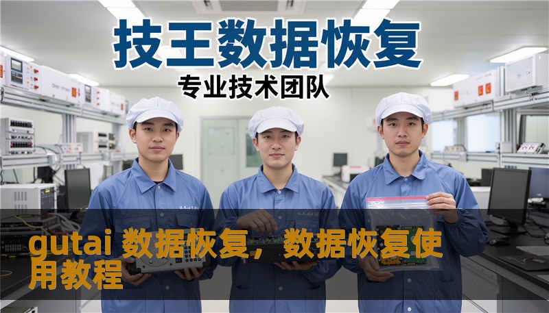 gutai 数据恢复，数据恢复使用教程