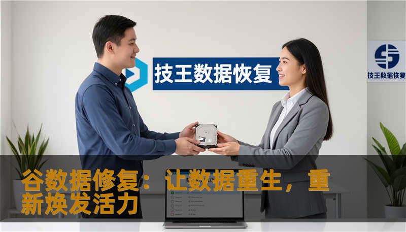 谷数据修复:让数据重生,重新焕发活力 谷数据修复:让数据重生,重新焕发活力