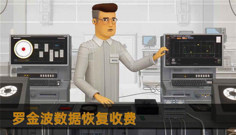 罗金波数据恢复收费