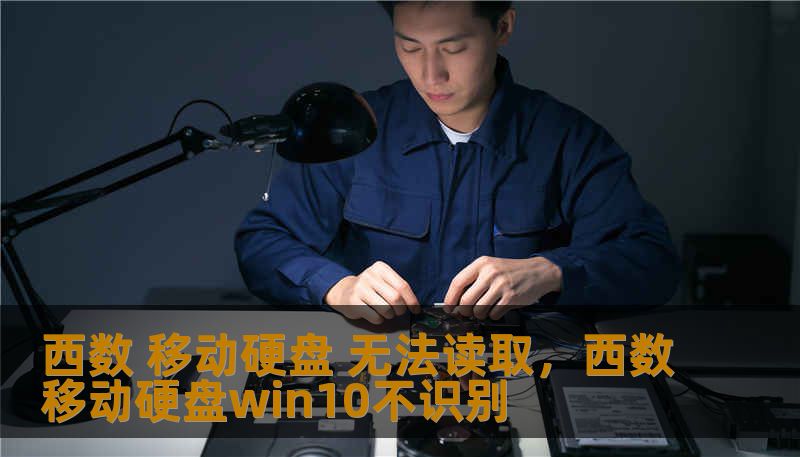 西数 移动硬盘 无法读取,西数移动硬盘win10不识别 西数 移动硬盘 无法读取,西数移动硬盘win10不识别