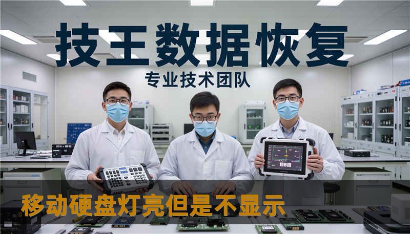 移动硬盘灯亮但是不显示