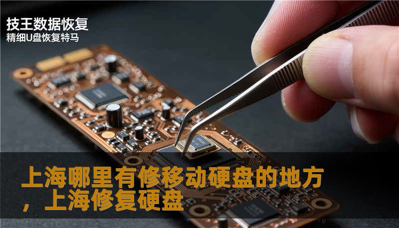 上海哪里有修移动硬盘的地方，上海修复硬盘