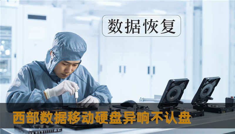 西部数据移动硬盘异响不认盘