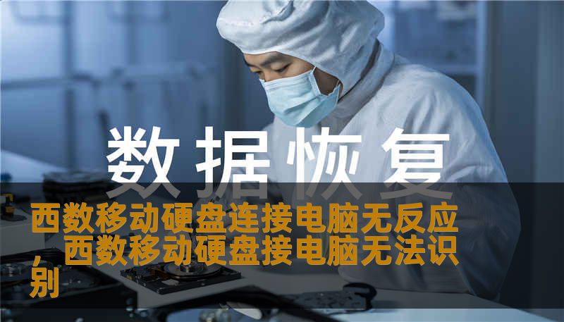 西数移动硬盘连接电脑无反应，西数移动硬盘接电脑无法识别