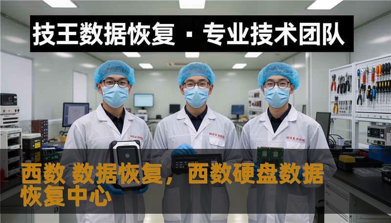 西数 数据恢复,西数硬盘数据恢复中心 西数 数据恢复,西数硬盘数据恢复中心