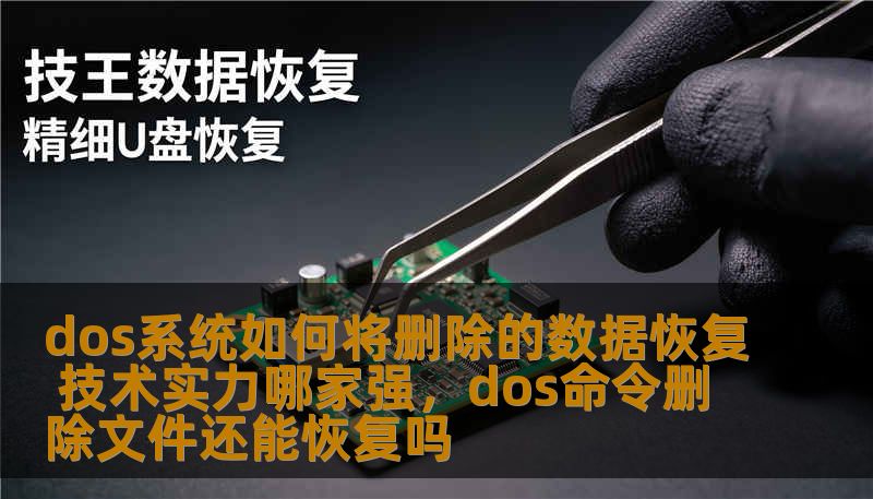 dos系统如何将删除的数据恢复 技术实力哪家强，dos命令删除文件还能恢复吗