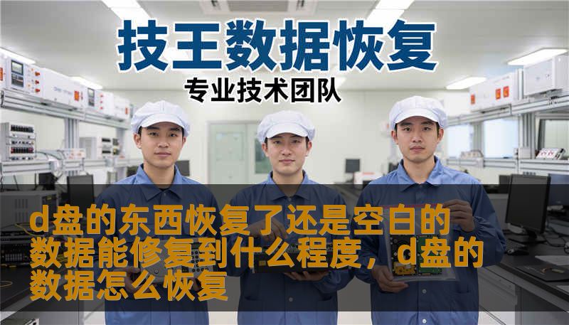 d盘的东西恢复了还是空白的 数据能修复到什么程度,d盘的数据怎么恢复 d盘的东西恢复了还是空白的 数据能修复到什么程度,d盘的数据怎么恢复