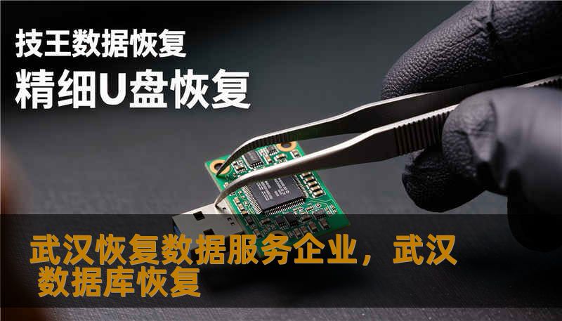 武汉恢复数据服务企业,武汉 数据库恢复 武汉恢复数据服务企业,武汉 数据库恢复