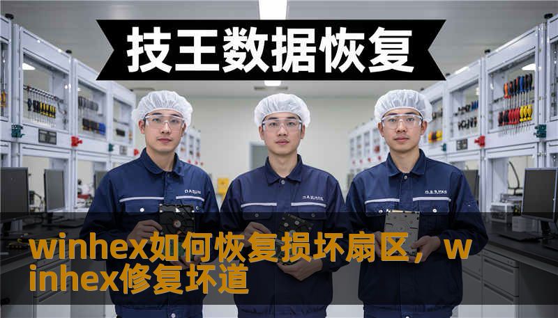 winhex如何恢复损坏扇区，winhex修复坏道