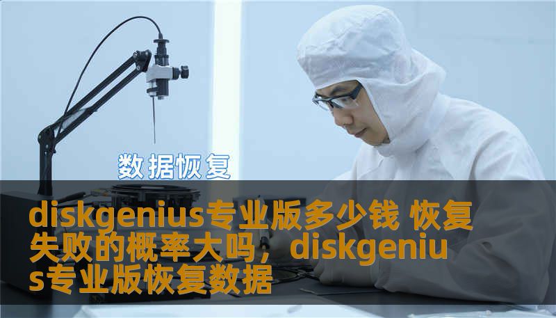 diskgenius专业版多少钱 恢复失败的概率大吗，diskgenius专业版恢复数据