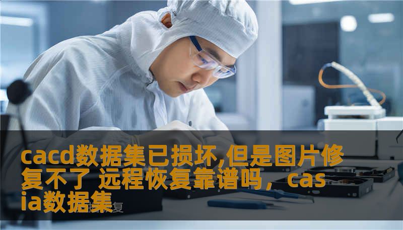 cacd数据集已损坏,但是图片修复不了 远程恢复靠谱吗，casia数据集