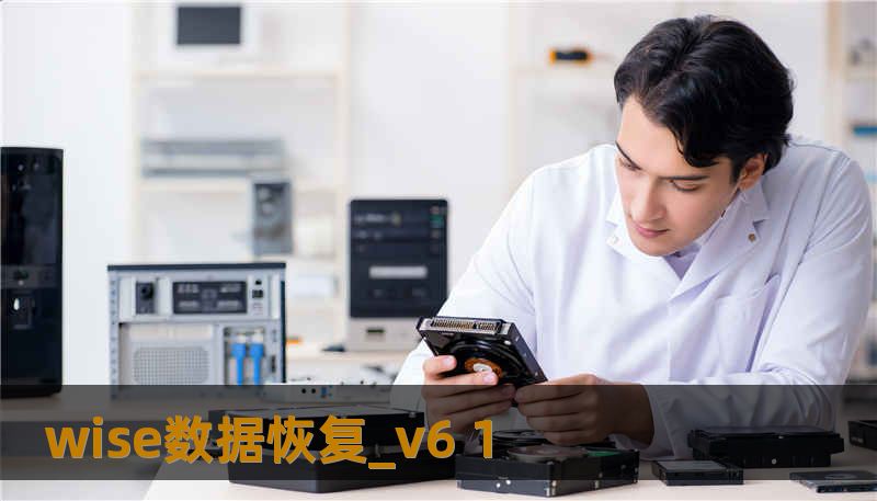 wise数据恢复_v6 1