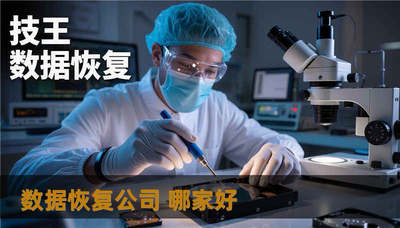 数据恢复公司 哪家好 数据恢复公司 哪家好