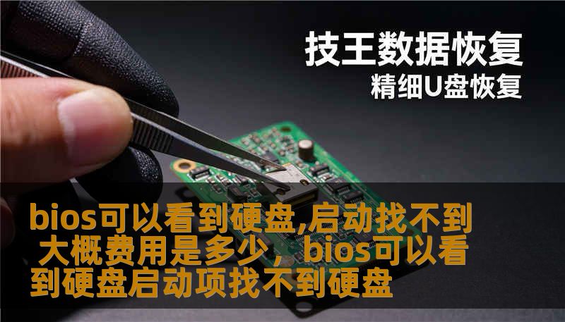 bios可以看到硬盘,启动找不到 大概费用是多少,bios可以看到硬盘启动项找不到硬盘 bios可以看到硬盘,启动找不到 大概费用是多少,bios可以看到硬盘启动项找不到硬盘