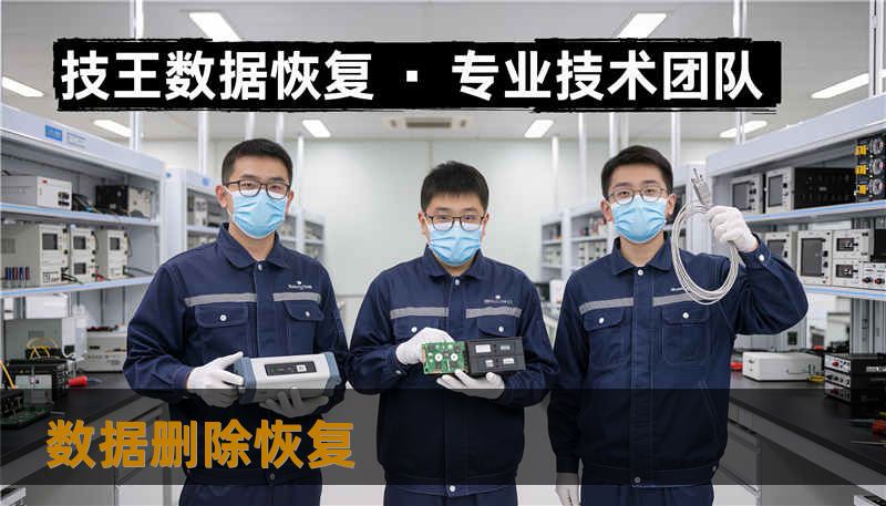 数据删除恢复 数据删除恢复