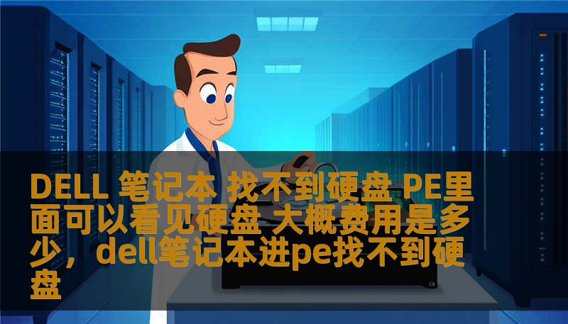 DELL 笔记本 找不到硬盘 PE里面可以看见硬盘 大概费用是多少，dell笔记本进pe找不到硬盘