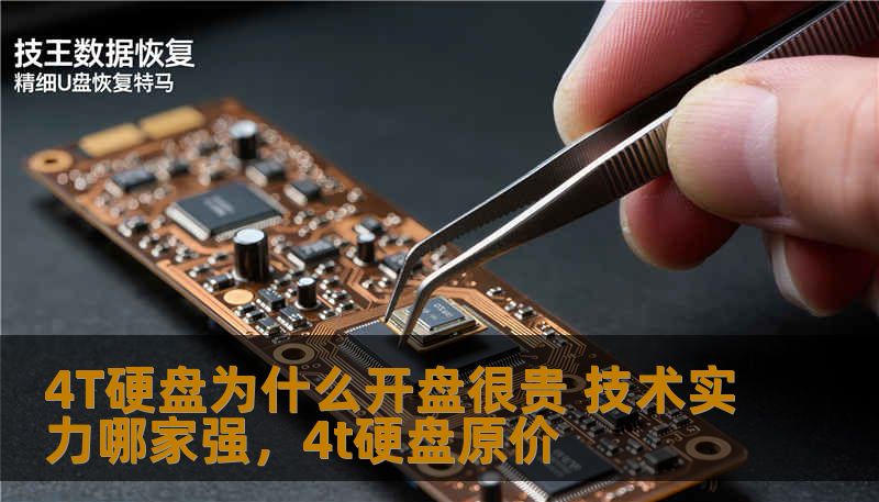 4T硬盘为什么开盘很贵 技术实力哪家强,4t硬盘原价 4T硬盘为什么开盘很贵 技术实力哪家强,4t硬盘原价