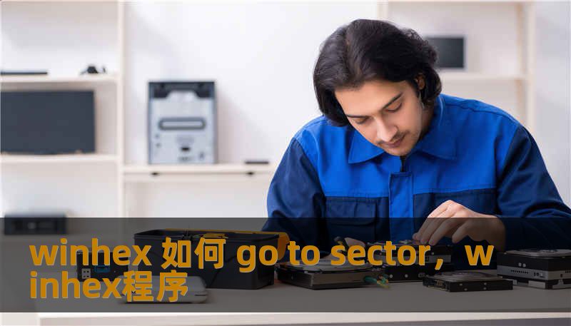 winhex 如何 go to sector，winhex程序