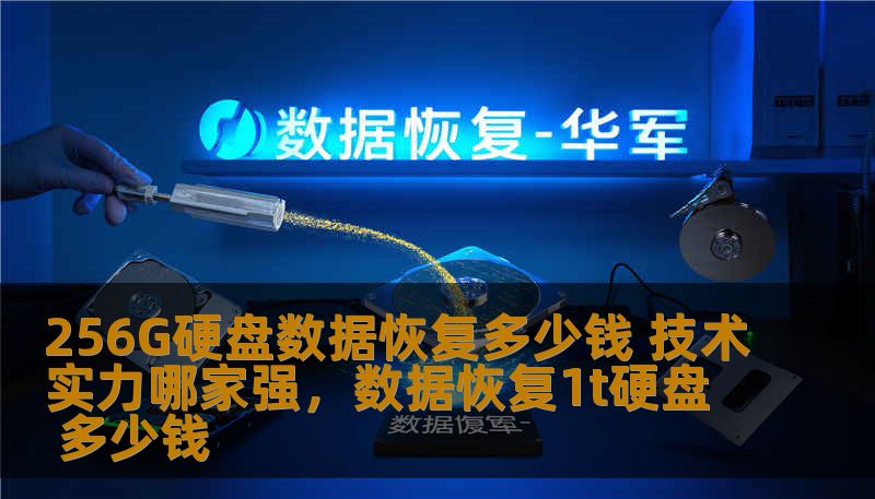 256G硬盘数据恢复多少钱 技术实力哪家强，数据恢复1t硬盘 多少钱