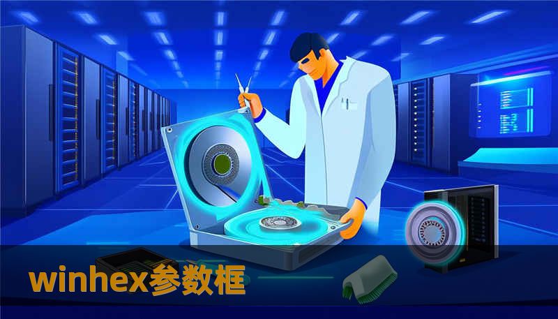 winhex参数框