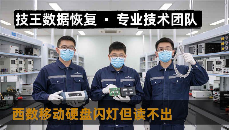 西数移动硬盘闪灯但读不出