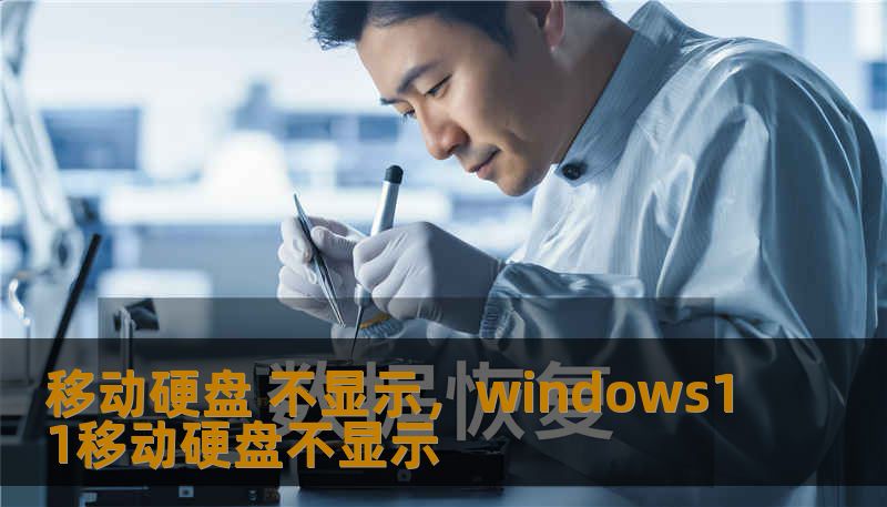 移动硬盘 不显示，windows11移动硬盘不显示