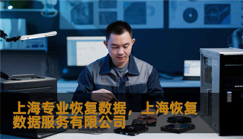 本文深度探讨了上海专业数据恢复行业的现状与技术底蕴。面对硬盘损坏、服务器崩溃及误删等突发状况，专业的上海恢复团队如何凭借超净间技术、深层逻辑修复及严密的隐私保护，为企业与个人挽回不可估量的损失。