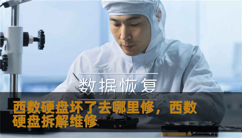 西数硬盘坏了去哪里修，西数硬盘拆解维修