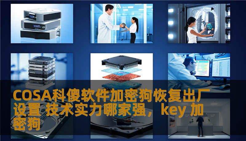 本文深入探讨了COSA科傻软件加密狗的恢复出厂设置功能，揭示了该产品在技术上的强大实力与市场表现，分析了其在行业中的竞争力，帮助用户全面了解其优势。