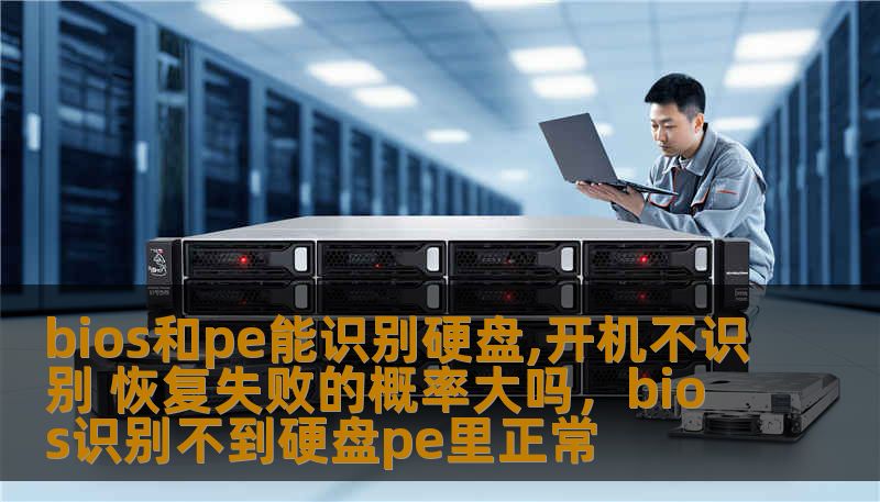 本文将深入探讨硬盘在开机时未能识别的问题，分析BIOS和PE环境下能否识别硬盘，并探讨恢复失败的概率以及如何有效解决这一问题，帮助用户解决硬盘识别难题。