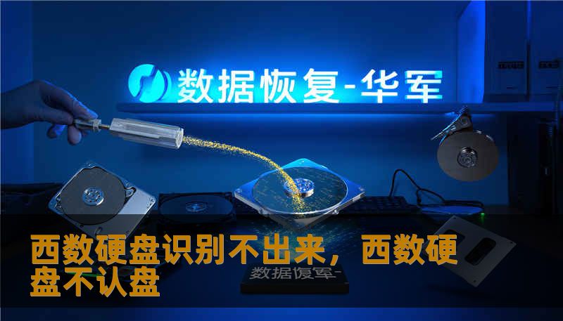 西数硬盘突然无法识别？别慌！本文从常见原因、快速自查、数据挽救到专业修复，分两部分详解实用方法与预防策略，帮你在紧急关头做出明智选择，最大化保护数据安全与硬盘寿命。