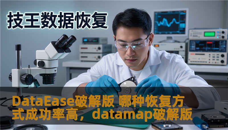 本文深入探讨了DataEase破解版的恢复方式，分析不同恢复方法的成功率及其优缺点，帮助用户选择最佳的恢复策略。通过专业分析，带给你最高效的数据恢复方案。